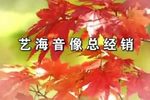 儿不嫌母丑下载