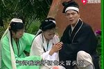 薛凤英 中集下载