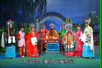 狸猫换太子下载