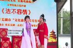 法不容情 全集下载