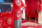皮氏女三告 1