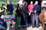 瞎妮放牛
