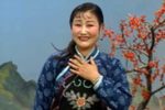 卖饺子下载