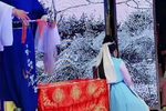 秦雪梅 15下载