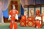 瞎女泪 全集下载