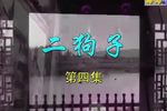二狗子闹新年 4