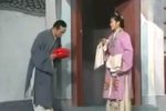 一双苦儿女上下载