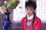 放鹦哥