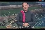 逼妻孝娘
