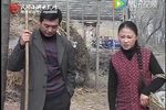 上门女婿