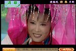 游春 夫妻观灯