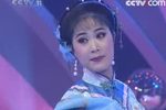 青春戏苑黄梅戏折子戏专场