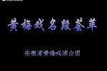黄梅戏名段荟萃下载