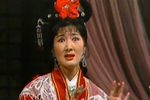 审婿招婿下载