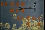 母老虎上轿