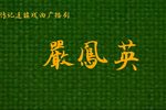 严凤英第二集下载