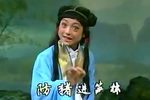打猪草