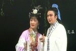 审婿招婿下载