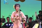 新世纪黄梅戏五朵金花颁奖晚会演出