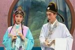 送香茶 送茶下载