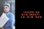 杏花泪雨 6下载