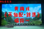 天仙配 路遇 选段