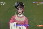 女驸马