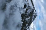 泪洒相思地下载