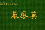 严凤英第一集下载