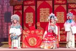 女驸马下载