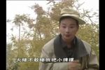 王婆骂鸡
