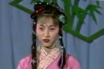 打猪草下载