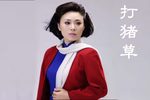 打猪草下载