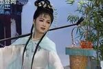 红楼梦 选段