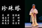 珍珠塔 全集下载