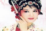 孟丽君 金殿诉冤