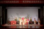 女驸马第五段