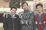 打菜苔下载