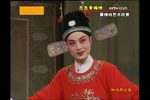 女驸马下载