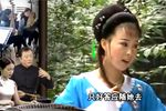 墙外小桃花 选段