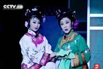 槐树谣 全集下载