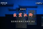 寂寞汉卿下载