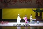 罗帕记 全集下载