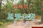 恩爱夫妻