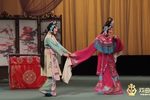 女驸马下载