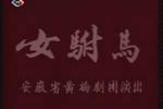 女驸马 全集下载