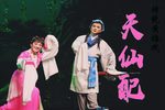 天仙配 全集下载