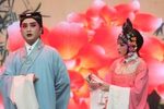 黄梅戏2013年寻找七仙女获奖演员演唱会