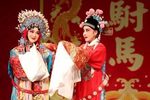 女驸马下载
