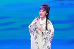 孔雀东南飞 全集